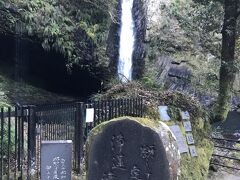早朝に浜松を出発したので、朝8時には天城の常連の滝に到着。
さすがに誰もいませんでした　笑