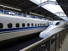 16：10発のこだまに乗車して、17：02に名古屋駅に到着。
大晦日から冷え込みが厳しくなり、雪が降って思うように動けない日もあったけど、コロナ禍でも楽しめるものを探しながらの京都旅は新鮮で、新しいお気に入りも見つかって心躍る旅になった。
