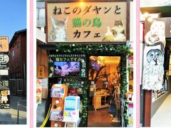 小町通りを鎌倉駅に向かって歩いていくと、豆柴カフェ、猫カフェ、フクロウカフェもあり、ここは原宿竹下通りかって。