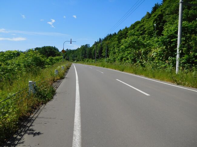 さて、智恵文沼に向かって歩きます。<br />道の両脇は草木が生い茂っていて、たまに農場があるくらい。<br />ヒグマがいても気づきません。<br />