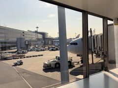 JALのマイルを使って、羽田から新千歳空港へ。
機内はビジネスマンがほとんどでしたが、それでも結構空いてました。