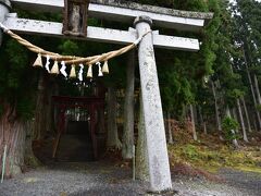 遠野食肉センターで、ジンギスカンを食べて、市内から山に入り着きました。

六神石神社です。
杉林の中にありました。