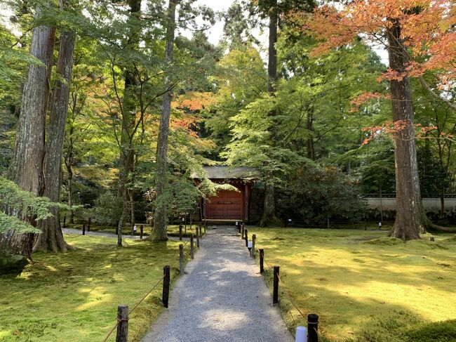 きょうとさんぽ 大原三千院～後鳥羽天皇大原陵 順徳天皇大原陵