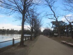 冬の澄んだ青い空の下､園内を散策
浮間公園は公園の中の浮間ヶ池を中心とした都立公園です