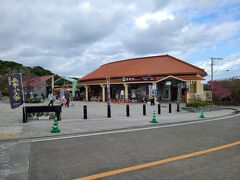 嵐山展望台から約20分、今帰仁城跡にやってきました。