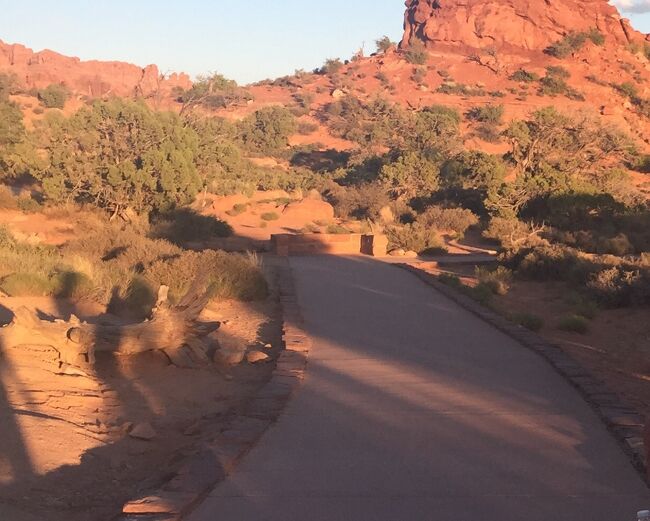 夕方の景色 ユタ州 アーチーズ国立公園 － 夕日を浴びるバランスロックを