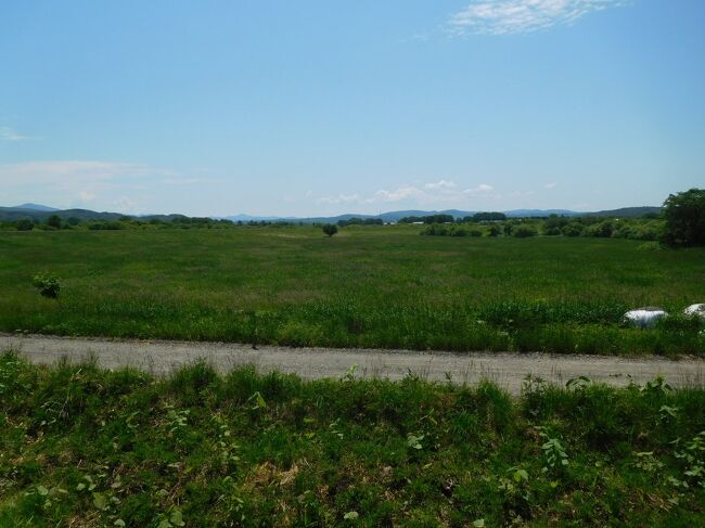 駅の裏手は一面の原野。近くに民家はあるそうですが、のどかな立地。
