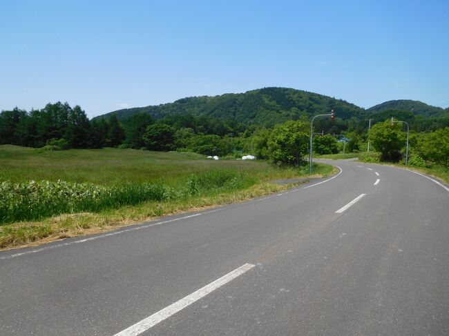 丘を降りると草木が生い茂る道。数件民家がありました。