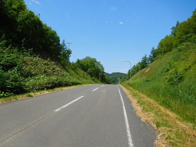 見通しが良いのがせめてもの幸い。意外と歩きやすい道です。それでもヒグマが怖いので、歌を口ずさんでいました。