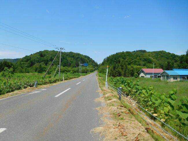 橋を渡ると丘が見えてきました。