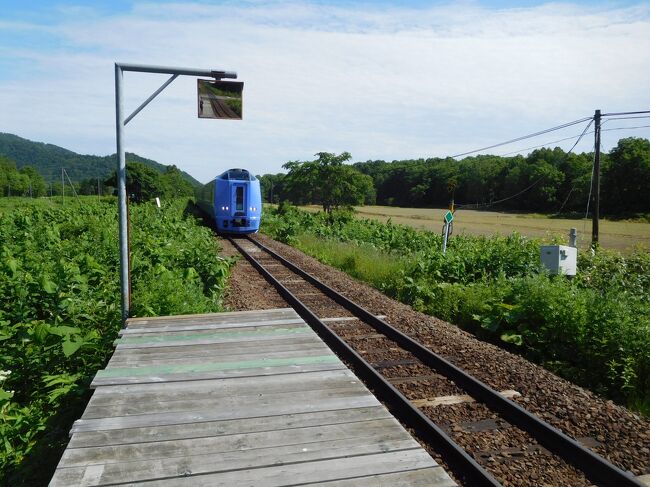 ホームで列車を待っていると、特急列車が勢いよく通過。もちろん天塩川温泉駅には止まりません。ホームが狭かったので、なかなか怖かったです。