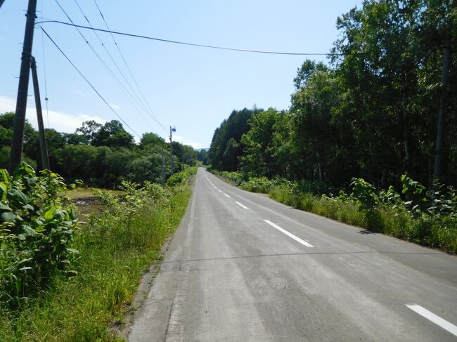 踏切を渡った側にも民家は見えません。やはり天塩川温泉の一軒宿しかないのか。
