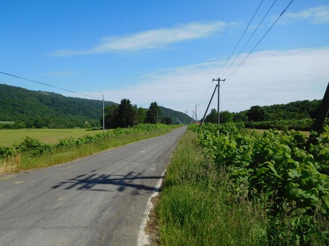駅前の道路。民家は見えません。