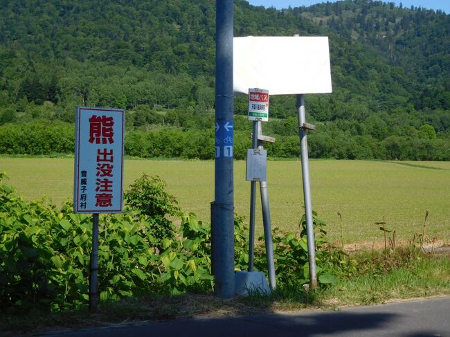 駅前に熊出没注意の看板が。