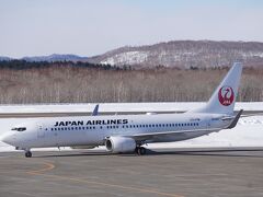 乗って帰る飛行機が到着