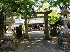 嬉野温泉は日本三大美肌の湯として有名だが、美肌の神様で有名な豊玉姫神社がある。表紙写真の「なまずさま」に祈願すれば、美肌になるとか。