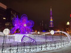 鮨処いちいさんを後にし、ホテルに戻ります。酔い覚ましを兼ねて札幌駅まで歩きます。途中大通公園ではこんなイルミネーションが。