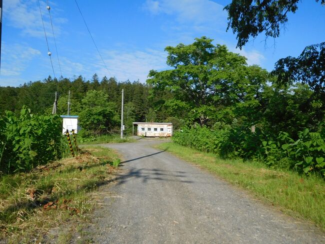 こういうアングルだと、秘境駅っぽさが出ます。