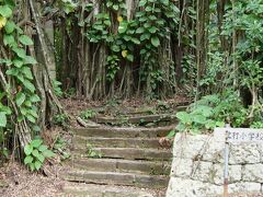 ここには小学校もありました。
現在は石垣と石門が残っているだけで、校庭などは木々で埋まり、自然に戻っていました。