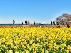 あれほど鮮やかな雪の伊吹山