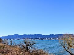 堤防を早咲きの菜の花. カンザキハナナ（寒咲花菜）を見ながら
琵琶湖大橋を撮るので、
レンズ交換の用意して、更に進む。