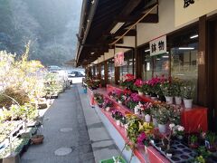 まずは
木の花ガルテン 
オーガニック農園 大山本店に