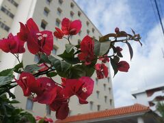 竹富島から戻ってきて
ベッセルホテルで荷物をピックアップして、空港へ向かいましょう

お世話になりました、何かと便利で良いホテルでした