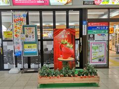 東武日光駅につきましたら、大好きな「イチゴ」がーーー
「と・ち・お・と・め」