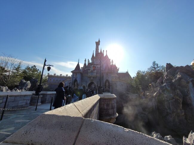 ガイドツアー 美女と野獣 魔法のものがたり ディズニーランド 東京ディズニーリゾート 千葉県 の旅行記 ブログ By Ikuikuさん フォートラベル