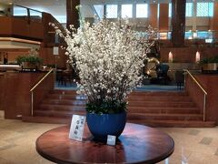 横浜ベイシェラトン ホテル＆タワーズの館内に入ると「山形の啓翁桜」の装花が、吹き抜けの1階メインロビーに飾られています。