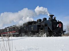 ナイスタイミングでした。

2019.2.9　11：57　塘路駅