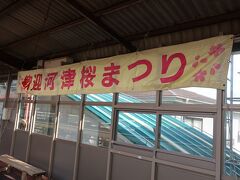 今や全国的に有名になった河津桜

その発祥の地である河津では2月1日から28日まで河津桜まつりが行われています