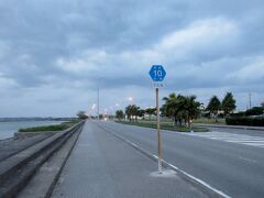 平安座島を早朝散歩と、海中道路を往復約１０キロを走ってきました。