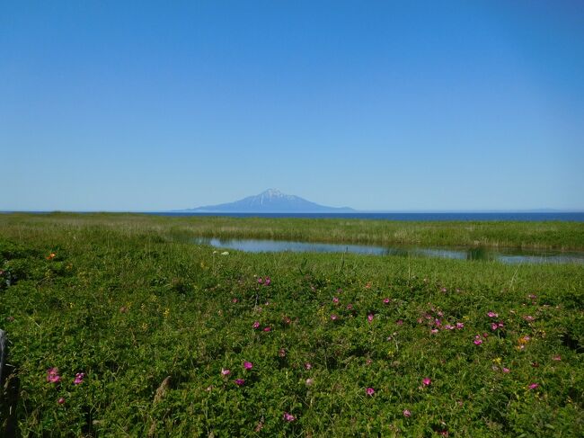 遊歩道を少し歩いて見ました。利尻富士が綺麗です。