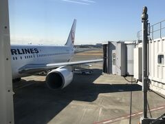 飛行機での移動