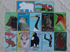 1月13日、久しぶりで旭山動物園を訪れました。まず、いきなりこんな写真。何かと言うと実は旭山動物園の年間パスポートです。何枚か紛失したものもありますが、2002年から2018年までの間の12年分あります。全国区で人気爆発して少し経ったころからのものです。動物そのものだけでなく、見せ方が工夫（行動展示）してあり楽しくて十数年間、とにかく通いました。園内の大きな施設はほぼ完成していて今と大きく変わりませんが、その間に園内全体の施設や動物の入れ替わりも少しあり、多少雰囲気が替わって更に充実しました。