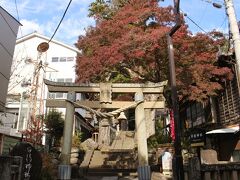 こちらは日枝神社。
紅葉はあまりなかったです。
