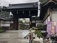 相楽園では、菊花展をしていましたよ。