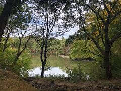 再度公園に到着。