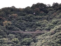 神戸布引ハーブ園/ロープウェイ