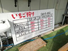 じろべえの観光農園でいちごを購入