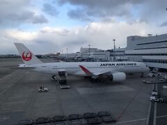 福岡空港に到着後、まずは展望デッキへ。目の前にはJAL/A350-900の姿が。青社ユーザーの私としてはA350に搭乗する機会はいつになることやら....。

実は2018年に福岡から仁川までAARのA350-900に搭乗するべく予約していたのに....台風で欠航して乗れなかったことが。


2018.07 迷走小樽旅 前編 ～A350に搭乗予定が台風7号に翻弄される～
https://4travel.jp/travelogue/11740524