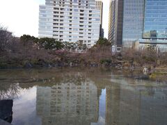 東京ミッドタウンの裏にある檜町公園