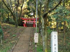 次は新府城です。
武田勝頼が織田徳川連合軍に圧され
甲府の躑躅ヶ崎館では籠城戦ができないと
高台のこの場所に建設をしようとした場所です。