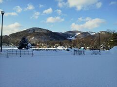 今日は天気がよく
豊平川のようななだらかな川は本州ではあまり見られないので
散歩も楽しいです。