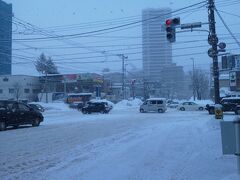 朝起きるとまた雪が降っていました。
歩くのもままなりません。