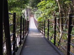 橋立の吊り橋に到着です。
城ヶ崎「の吊り橋ほど有名では無いですが、良い感じの吊り橋です。
揺れも少ない感じです。
