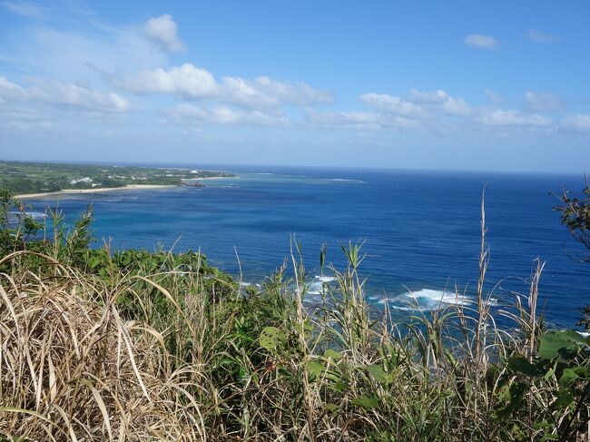 奄美の風景画 一筆箋 奄美大島 白ハイビスカス ステッカー