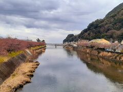 うなぎ屋万両でランチしようと思ったら長蛇の列
天気悪いし、桜咲いてないしで空いてると思ったのに残念