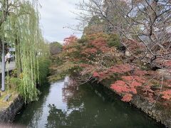 倉敷美観地区を流れるのは倉敷川。
ちょっと紅葉していて綺麗。
